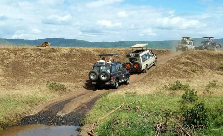Ngorongoro Crater, Northern Tanzania