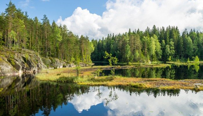 Nuuksio National Park
