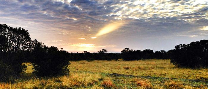 Ol Pejeta Conservancy, Kenya