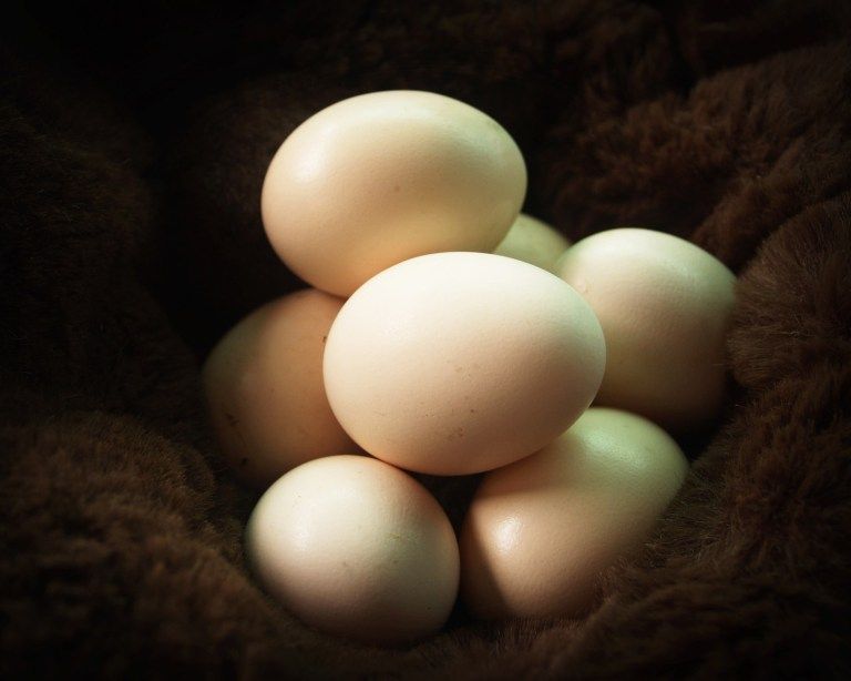 Old Easter eggs, 15+ Interesting facts About Easter