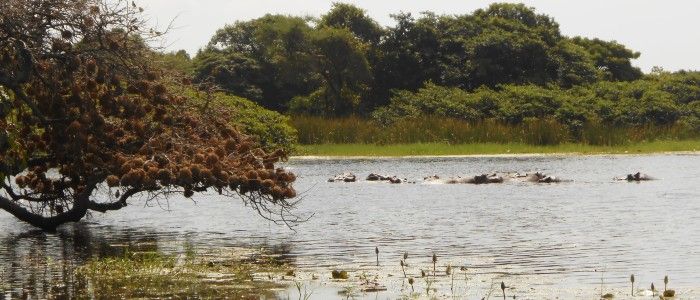 Orango National Park