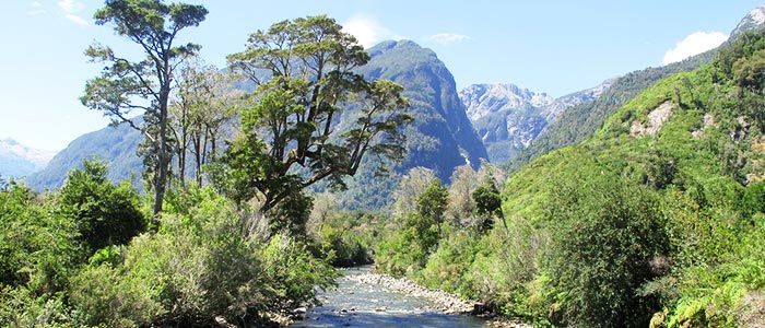 PUMALIN PARK, 25+ Best Places To Visit In Chile