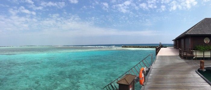 Paradise Island