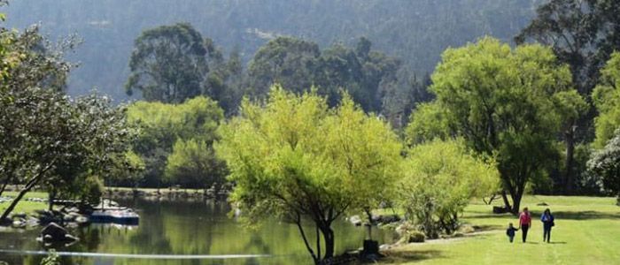 Paradise Park, Budget-Friendly Family Activities in Cape Town