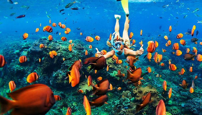 Phi Phi Islands - A Tropical Gem