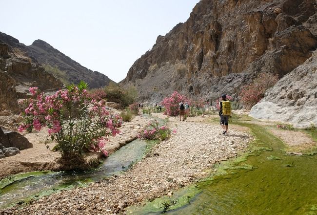 Best 7 Must Visit Places In Jordan That Are Timeless Gems