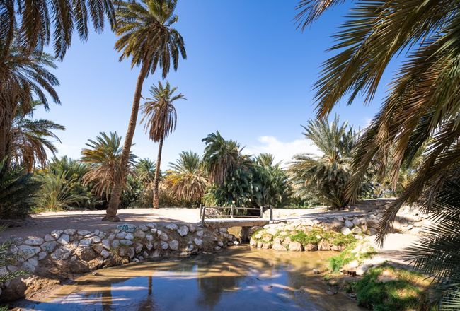 Top 12+ Alluring And Magical Places To Visit In Tabuk