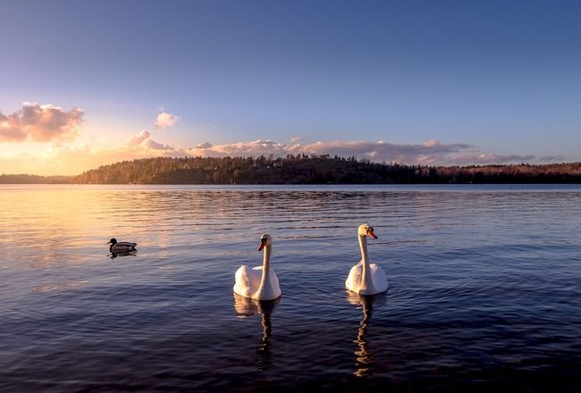 Top 15+ Spectacular Places To Visit In Sweden