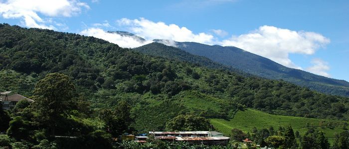 Puncak-Safari-Park.jpg