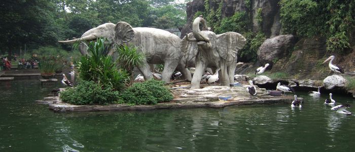 things to do in jakarta with kids_Zoo visit
