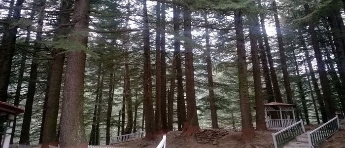Rani-Bagh.jpg