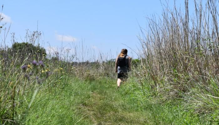Raydah Escarpment Reserve