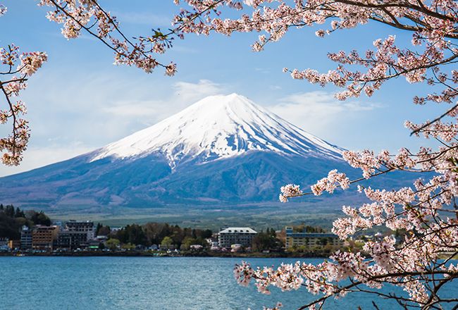 Top 9 Reasons To Visit Japan And Explore It’s Serene Beauty