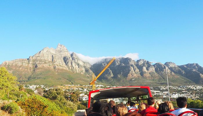 Embrace Lekker Vibes : Top 8 Things To Do In Cape Town