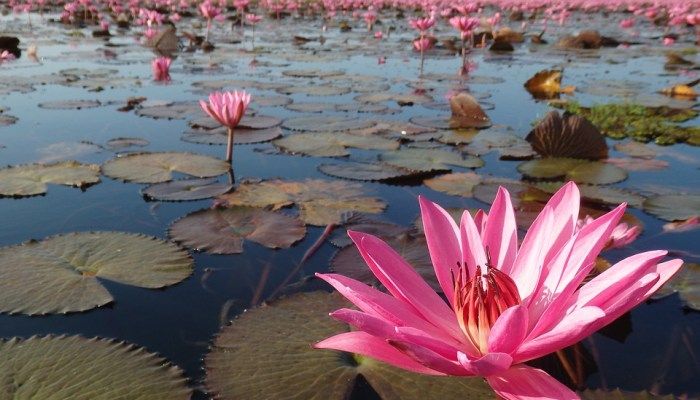 Don`t Miss Out On The Best 7 Offbeat Places To Visit In Thailand