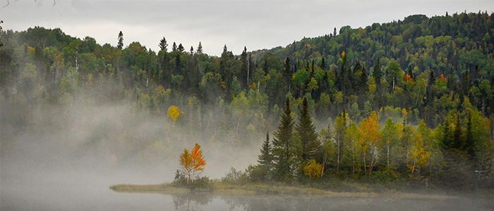 Reindeer Lake Canada