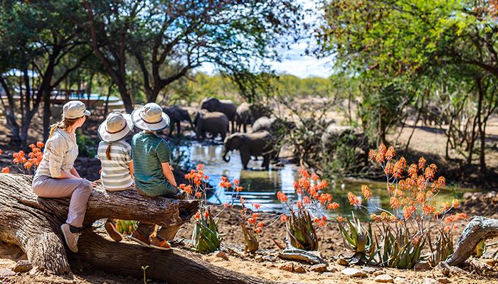 Responsible Wildlife Encounters during Nature Travel