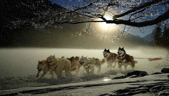 Seven Magically Romantic Things To Do For Honeymooners In Lapland