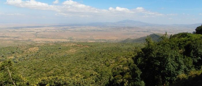 Rift Valley