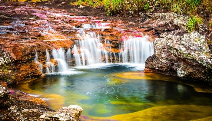 Cano Cristales, Strangest Places In The World