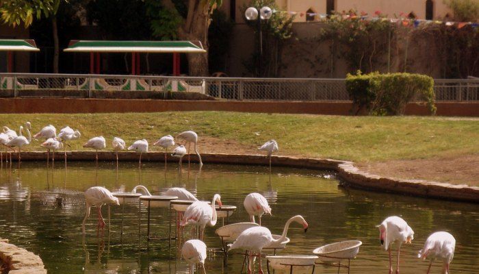 8 Amazing Places In The World To Travel With Kids