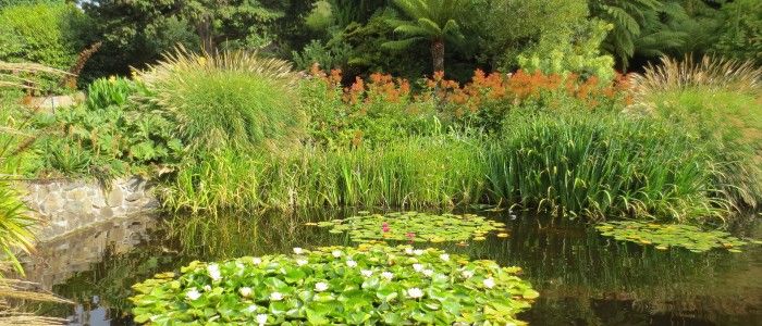 Royal-Botanic-Garden.jpg