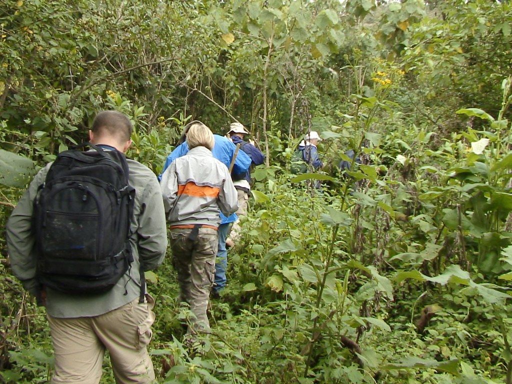 Rwanda How to reach the national park