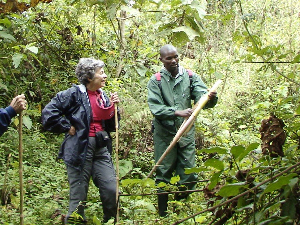 Rwanda What is the trekking expereince like