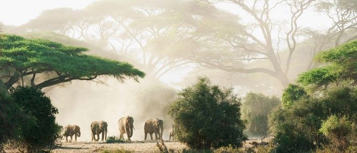 Safari Park Nairobi Tips