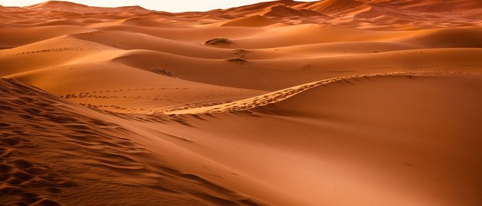 things to do in Morocco_Visit Sahara