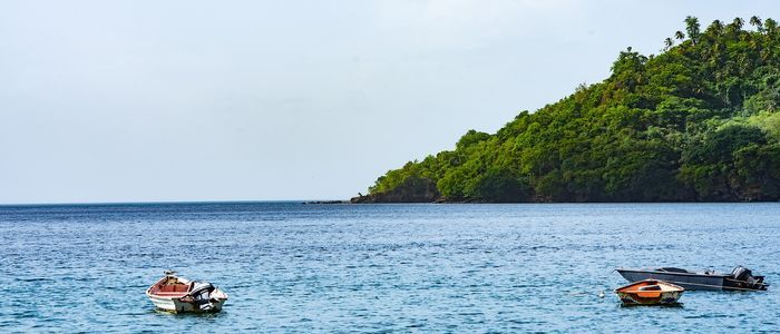Saint-Vincent-and-the-Grenadines.jpg