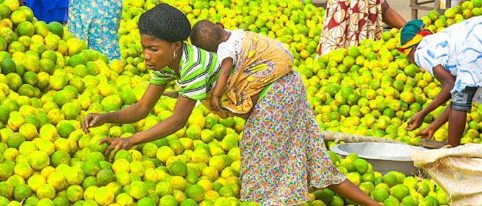 Salaga Market