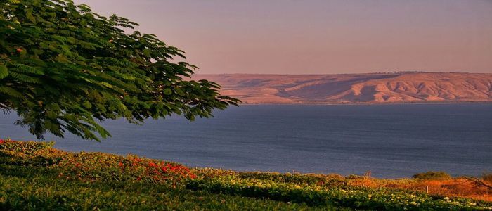 Top 10+ Best Places To Visit In Israel When Planning A Trip To The Holy Land