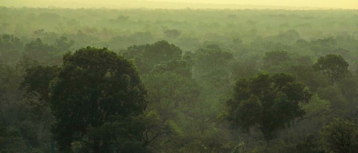 Secure Travel and Tours, Ghana