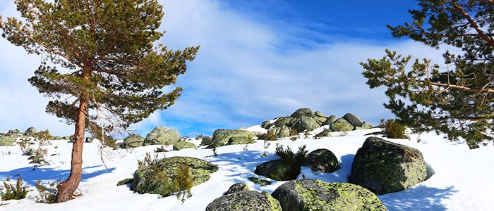 Serra da Estrela