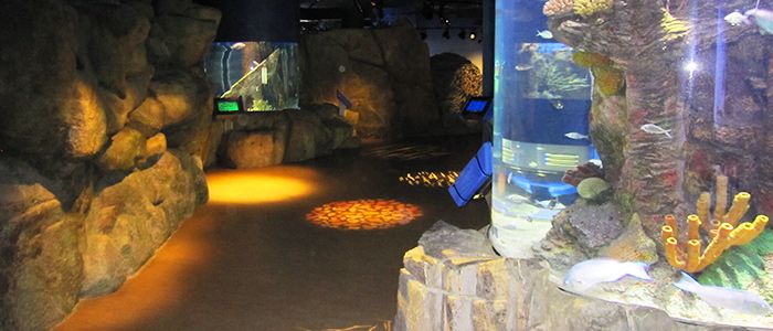 Sharjah Aquarium