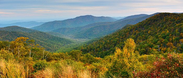Shenandoah-National-Park.jpg