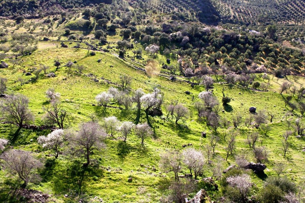 Sierra de Segura, Spain