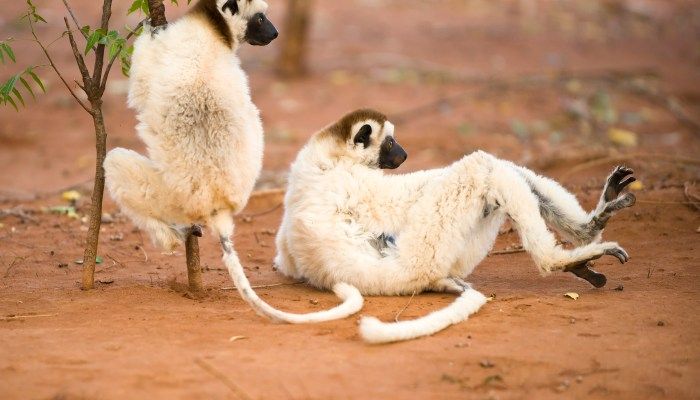 Silaka Nature Reserve, Places to explore in South Africa