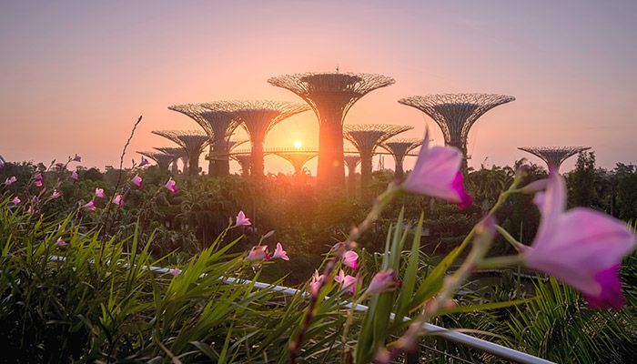 Singapore: The Garden City