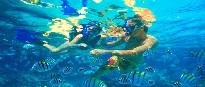 Snorkel-xel-ha.jpg