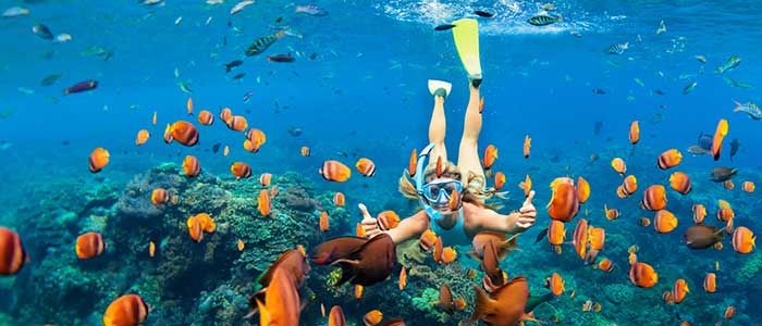 Snorkelling adventure
