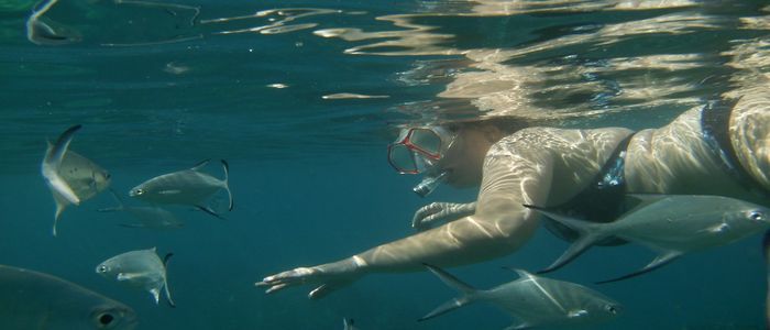 Snorkelling-at-Curieuse-St-Pierre-.jpg