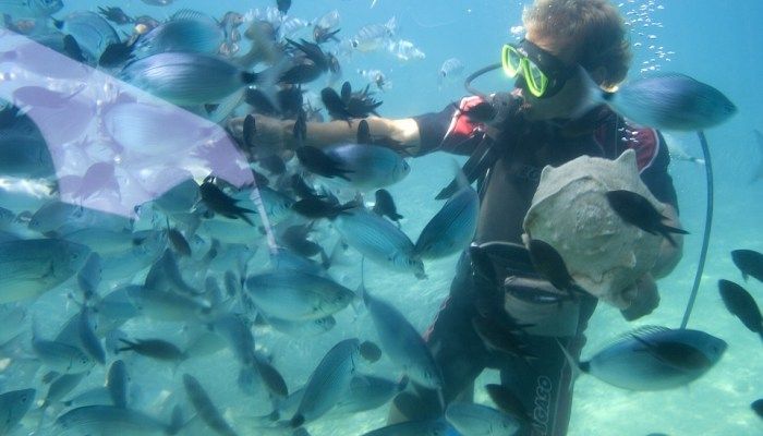 Top 5 Fun Things To Do In The Maldives For An Amazing Time