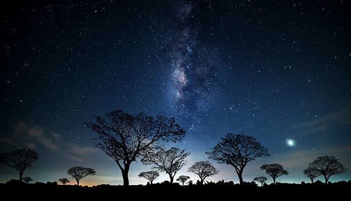 South Africa