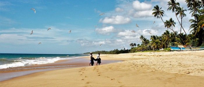 Things to do in Sri Lanka - beaches