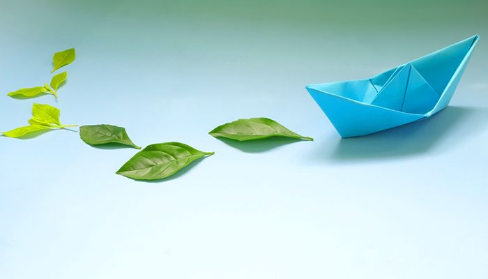 Steps taken to correct carbon emissions