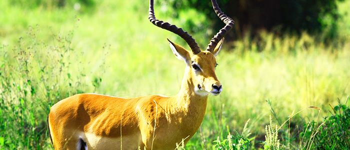Nigeria Tourism: Top 10 Unforgettable Spots That Should Be On Your Itinerary