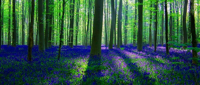 25 Top Things to do in Belgium