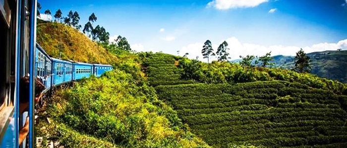 Nuwara Eliya